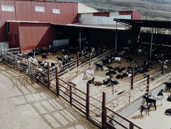 High angle view of people on sidewalk by buildings in city