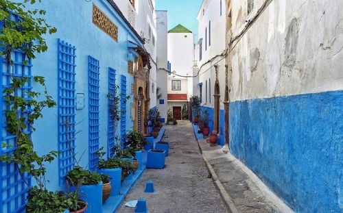 Footpath amidst houses