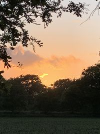 Silhouette trees on field against romantic sky at sunset