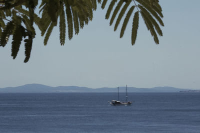 Sailboats on sea against sky