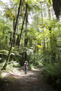 Rear view of woman walking on footpath in forest