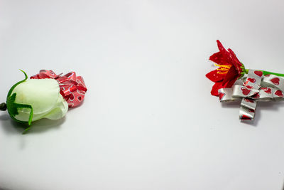 High angle view of roses against white background