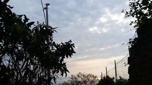 Low angle view of silhouette trees against sky