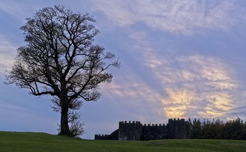 Bare tree on field against sky