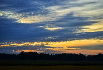 Silhouette trees on field against sky at sunset