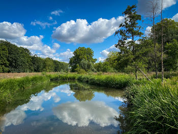 Scenic view of lake by trees against sky