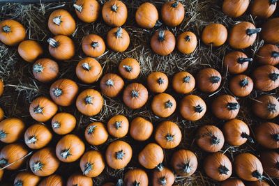 Full frame shot of pumpkins on hay