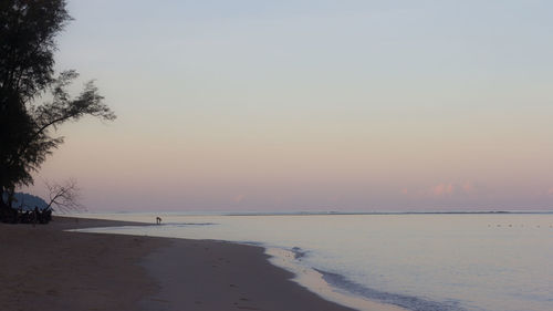 Scenic view of beach against sky during sunset