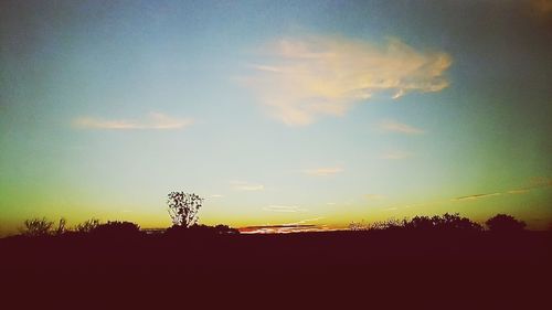 Silhouette landscape at sunset