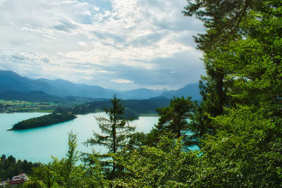 Scenic view of trees and mountains against sky