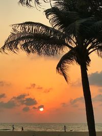 Silhouette palm tree by sea against sky during sunset