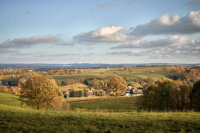 Scenic view of field against sky