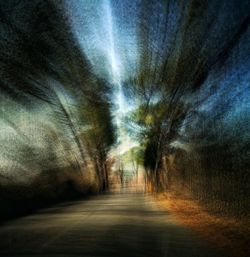 Road in forest during autumn