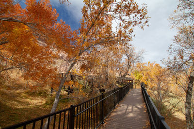 Footbridge amidst trees against sky during autumn. red rock canyon, nevada 