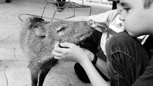 Siblings playing with pig at yard