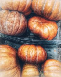 High angle view of pumpkins for sale in store