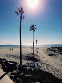 Palm trees on beach against sky