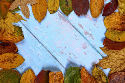 High angle view of dry leaves on wood