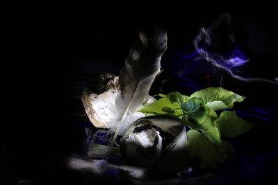Close-up of rose bouquet against black background