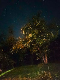 High angle view of trees in lake
