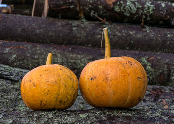 Close-up of orange pumpkins on wood