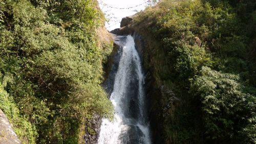 Scenic view of waterfall in forest