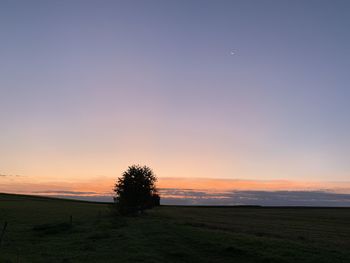 Silhouette trees on field against sky during sunset