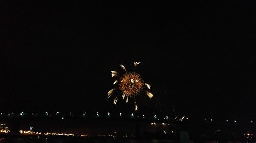 Low angle view of firework display at night