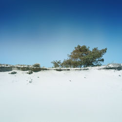 Scenic view of landscape against clear blue sky