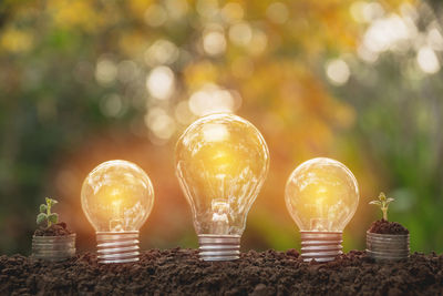 Digital composite image of illuminated light bulbs and coins with plants in mud 