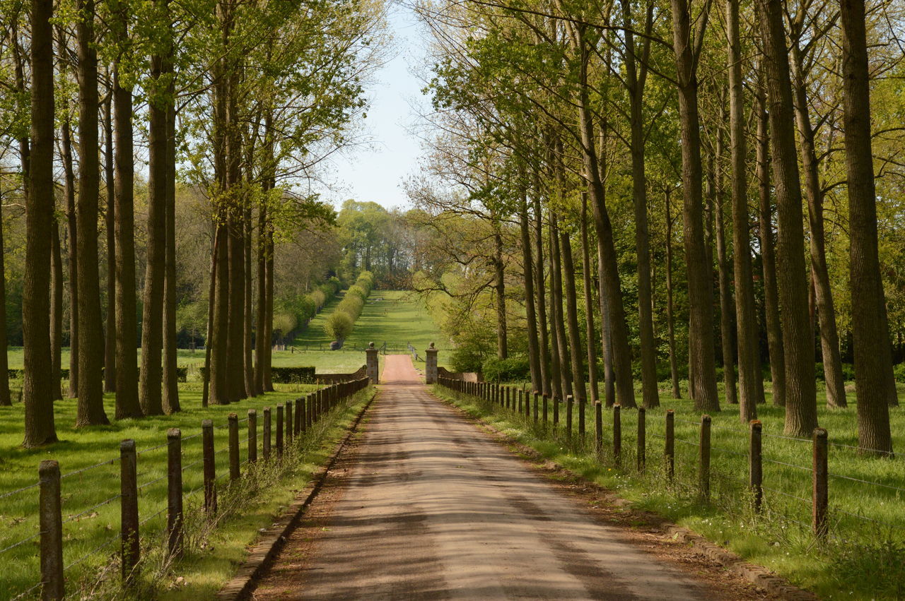 Castle avenue