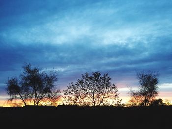 Low angle view of silhouette trees against sky
