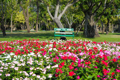 View of park bench