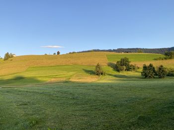 Scenic view of golf course against sky