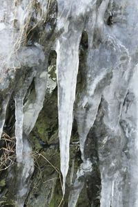 Close-up of ice on snow