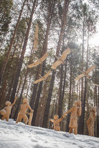 View of trees in forest during winter