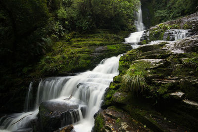 Scenic view of waterfall in forest