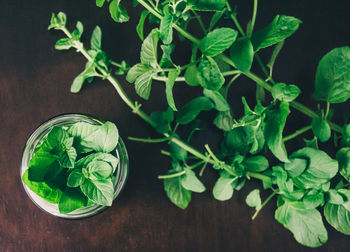 Directly above view of green herbs in jar on table