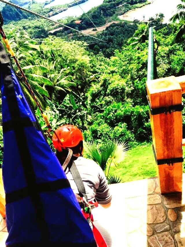 tree, green color, growth, plant, day, shoe, sunlight, outdoors, personal perspective, part of, transportation, hanging, high angle view, cropped, nature, unrecognizable person, men, mountain