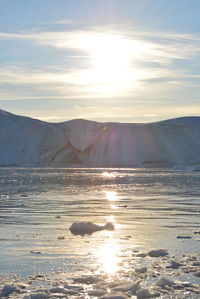 Boat trip at midnight sun with wonderful yellow icebergs in the arctic sea in ilulissat icefjord