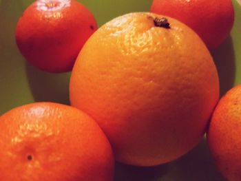 Close-up of oranges