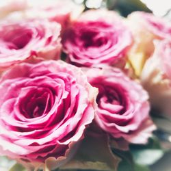 Close-up of rose bouquet