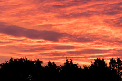 Low angle view of silhouette trees against orange sky