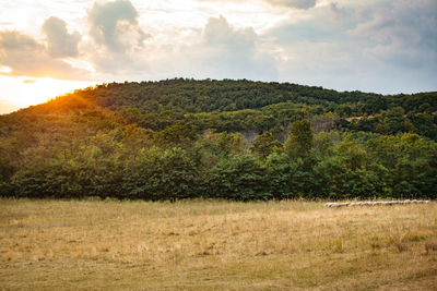 Scenic view of land against sky