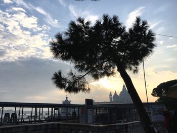 Low angle view of silhouette tree against sky