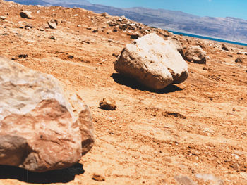 Close-up of rock formation on land