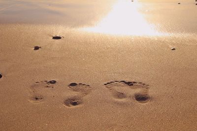 High angle view of footprints on sand at beach