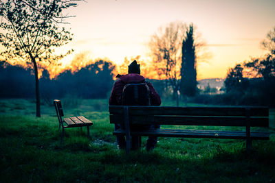 Rear view of man sitting on bench in park