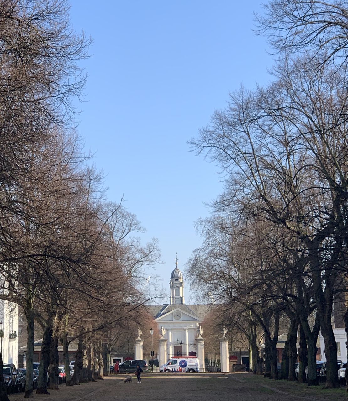 TREES AND BUILDING AGAINST SKY