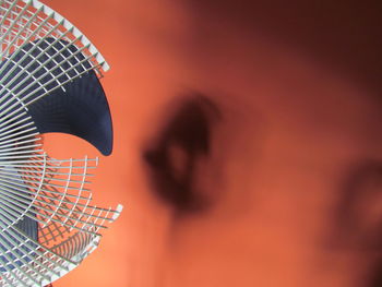 Close-up of dartboard